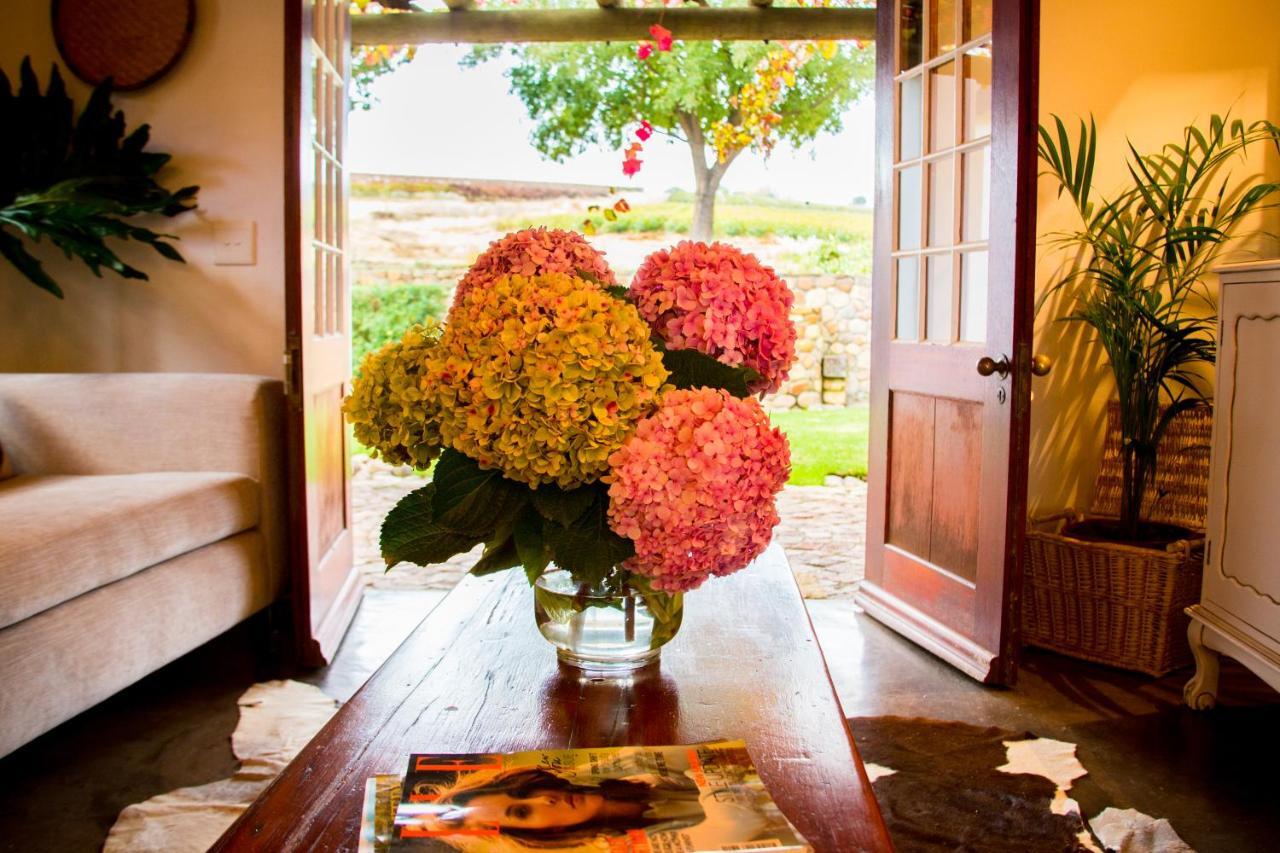 Vineyard Cottage At Bosman Wines Wellington Exterior foto