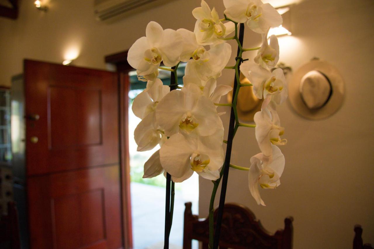 Vineyard Cottage At Bosman Wines Wellington Exterior foto
