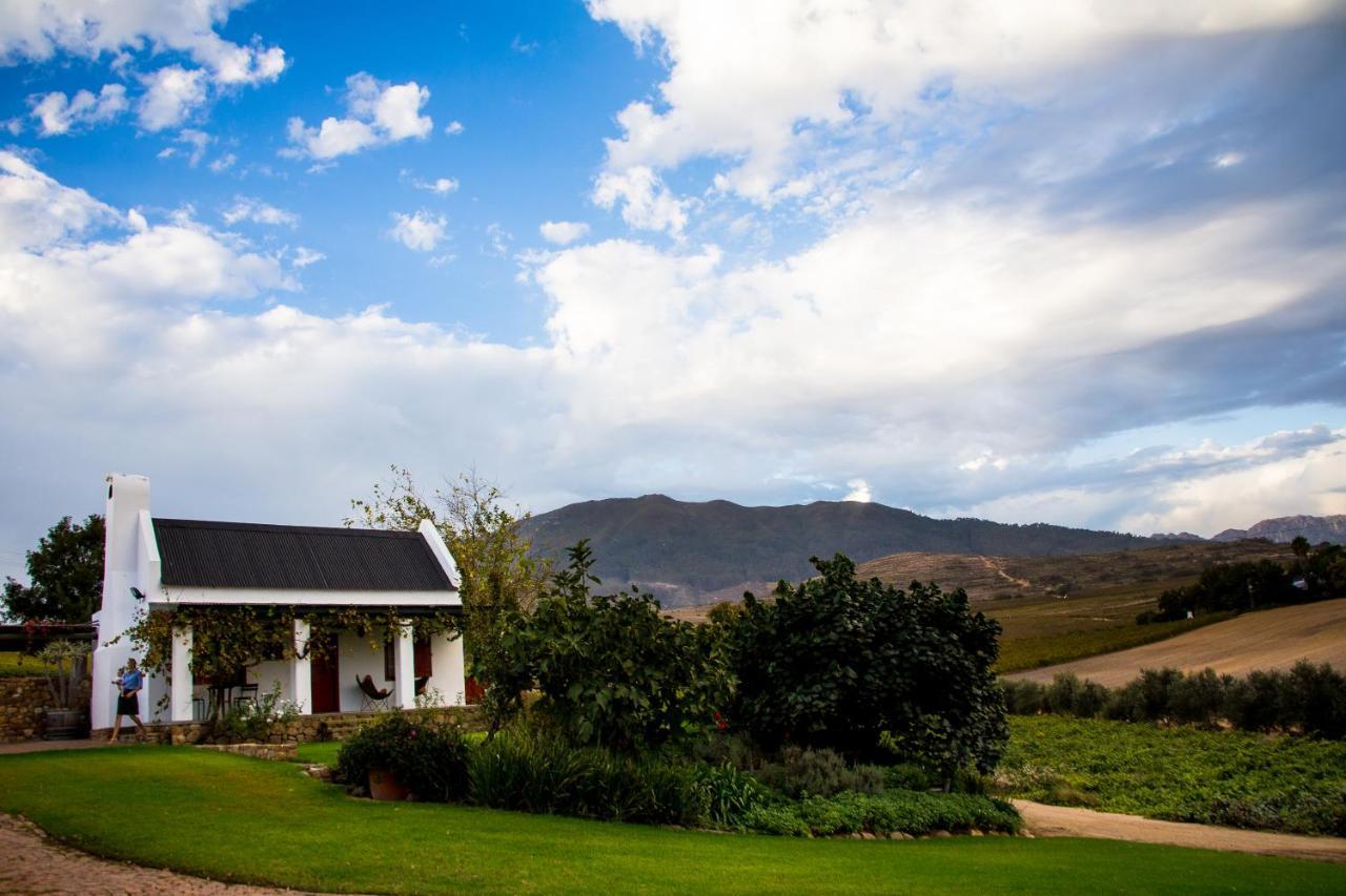 Vineyard Cottage At Bosman Wines Wellington Exterior foto