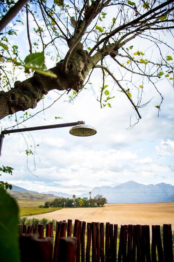 Vineyard Cottage At Bosman Wines Wellington Exterior foto